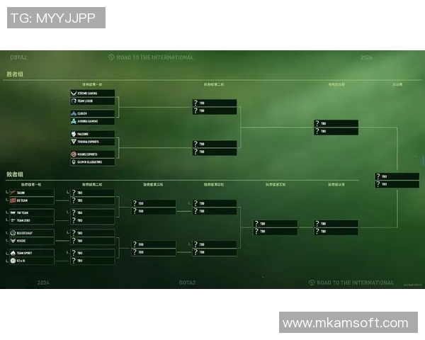 聚焦DOTA2RNG战队的比赛经验与成长历程探讨